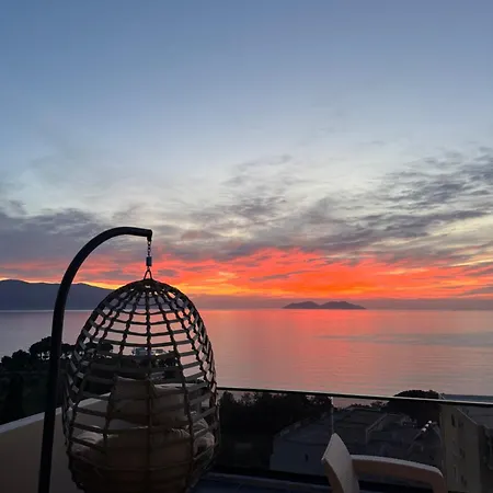 Aloha And Vlore