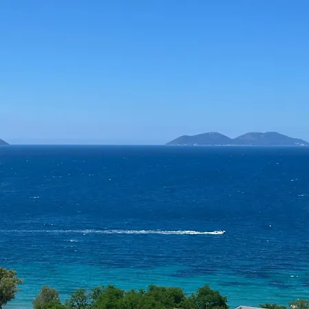 Aloha And * Vlore