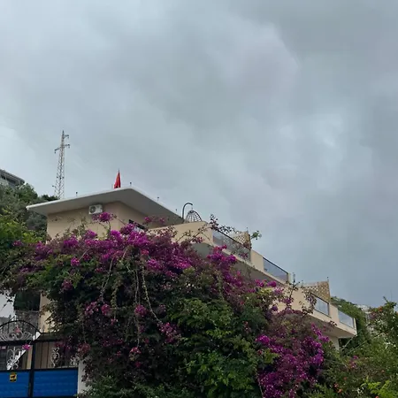 Aloha And * Vlore