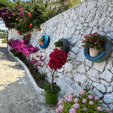 Guest house Aloha And Vlore
