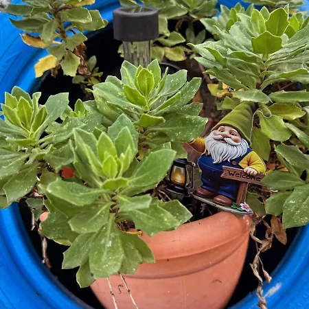 Aloha And Affittacamere Vlorë