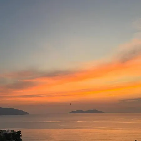 Aloha And 3*